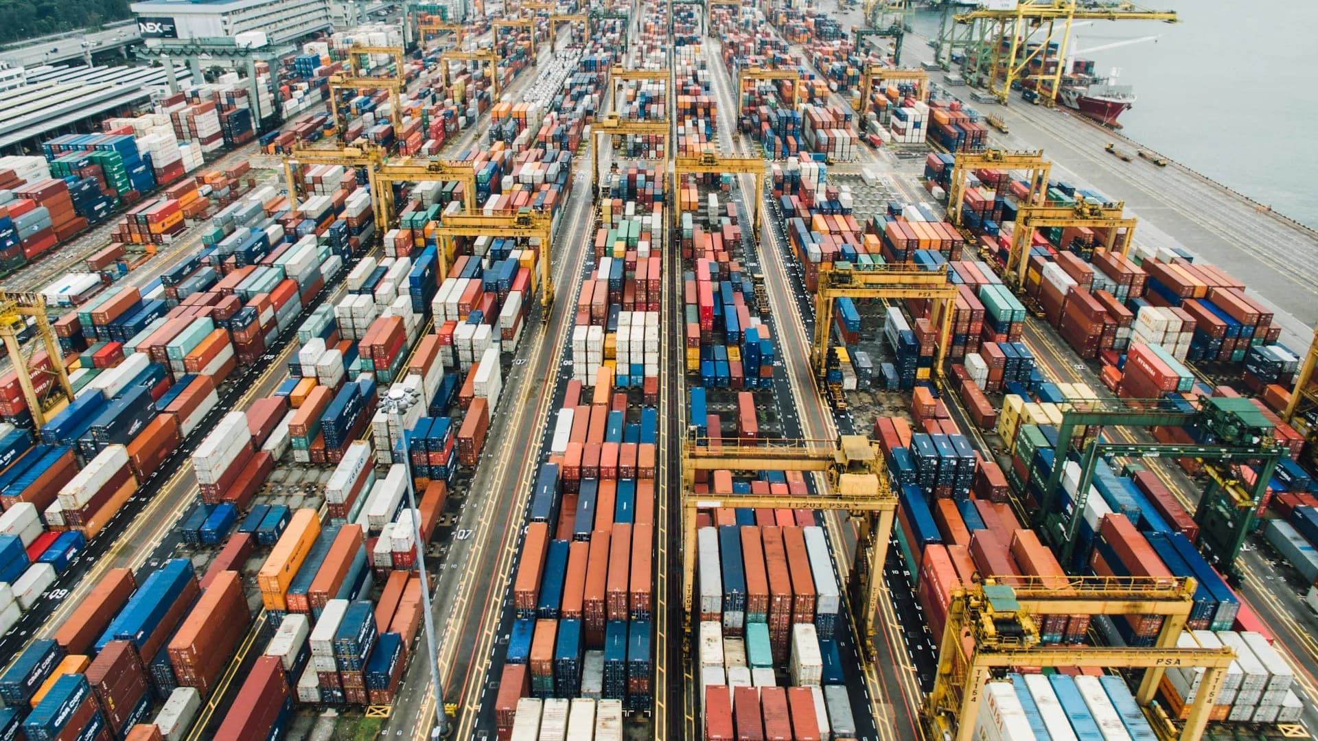 Container port with shipping cranes